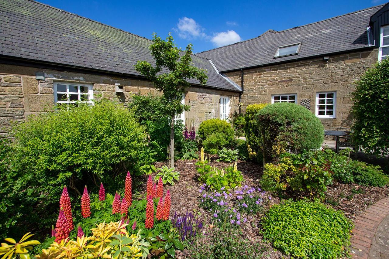 Home Farm B&B - Sunflower Room Forfar Exterior foto
